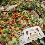 How Advanced Technologies Can Help Restaurants Combat Food Waste