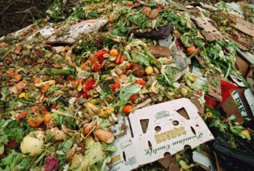 How Advanced Technologies Can Help Restaurants Combat Food Waste